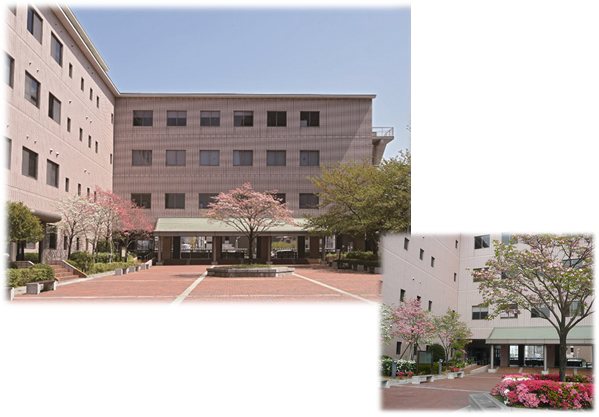 校舎・ハナミズキの花